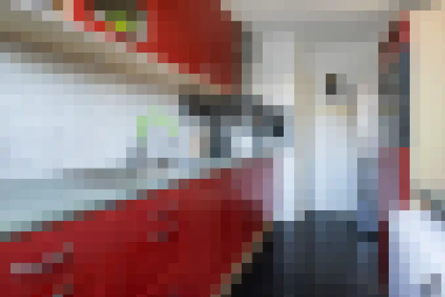 Frank van Borselenstraat 35 Nieuwe-Tonge thumbnail 13