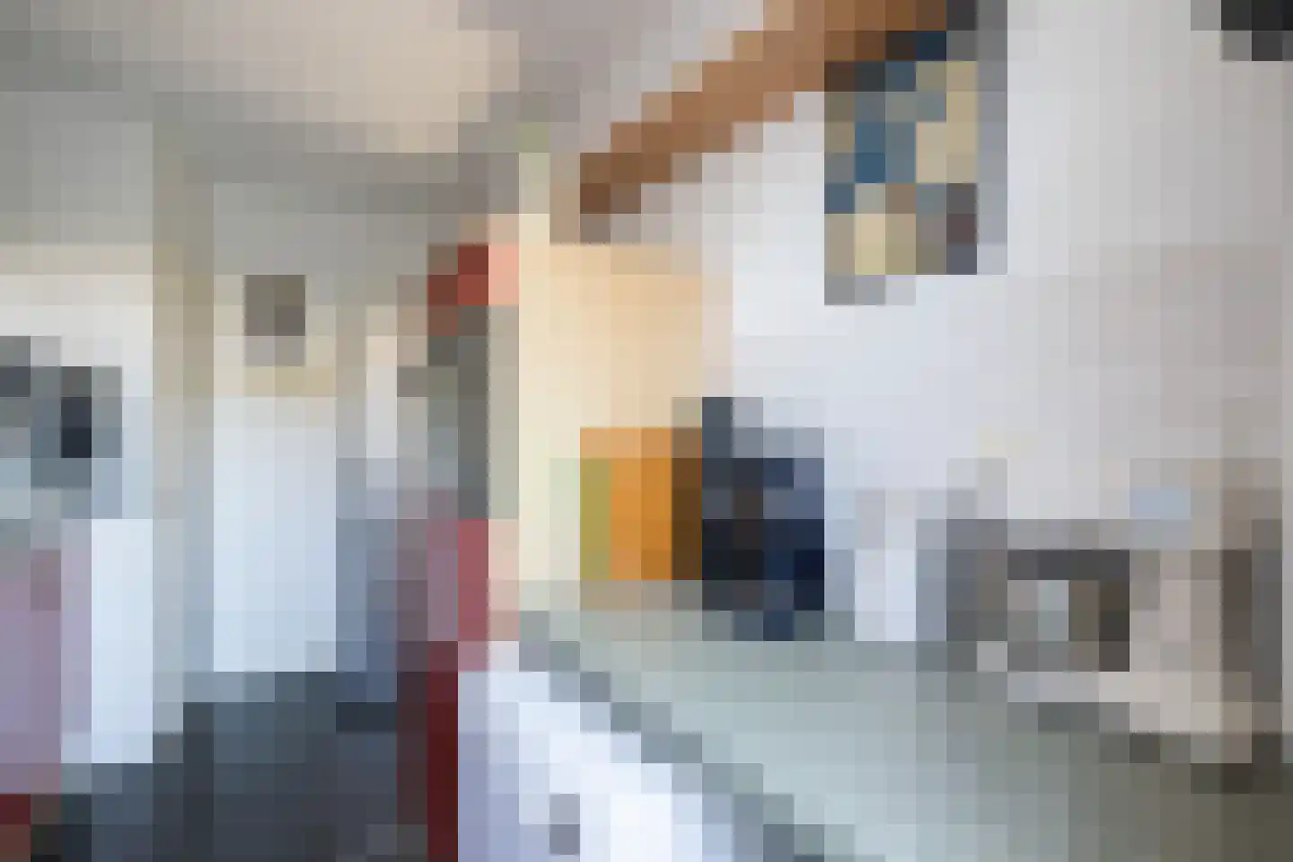 Frank van Borselenstraat 35 Nieuwe-Tonge thumbnail 14