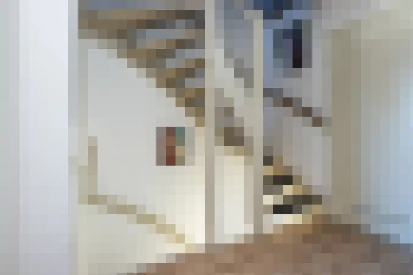 Frank van Borselenstraat 35 Nieuwe-Tonge thumbnail 16