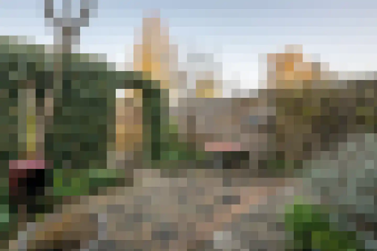 Frank van Borselenstraat 35 Nieuwe-Tonge thumbnail 25