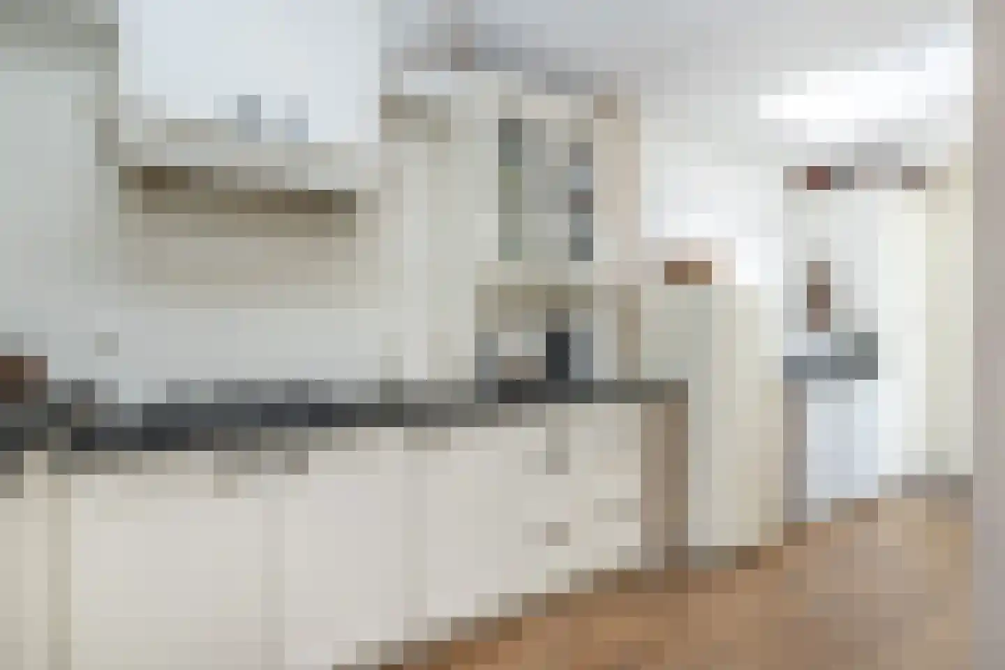 Frank van Borselenstraat 4 Nieuwe-Tonge thumbnail 12