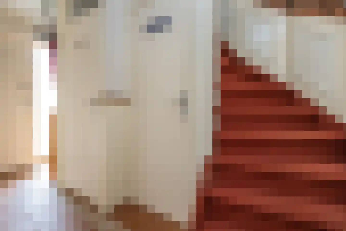 Frank van Borselenstraat 4 Nieuwe-Tonge thumbnail 4