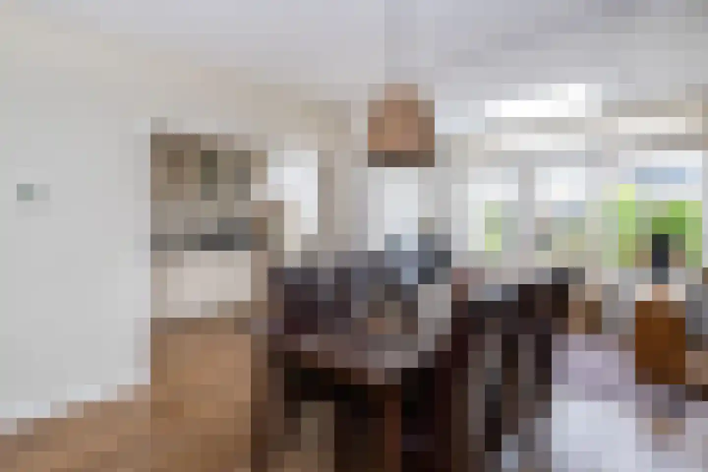 Frank van Borselenstraat 4 Nieuwe-Tonge thumbnail 9
