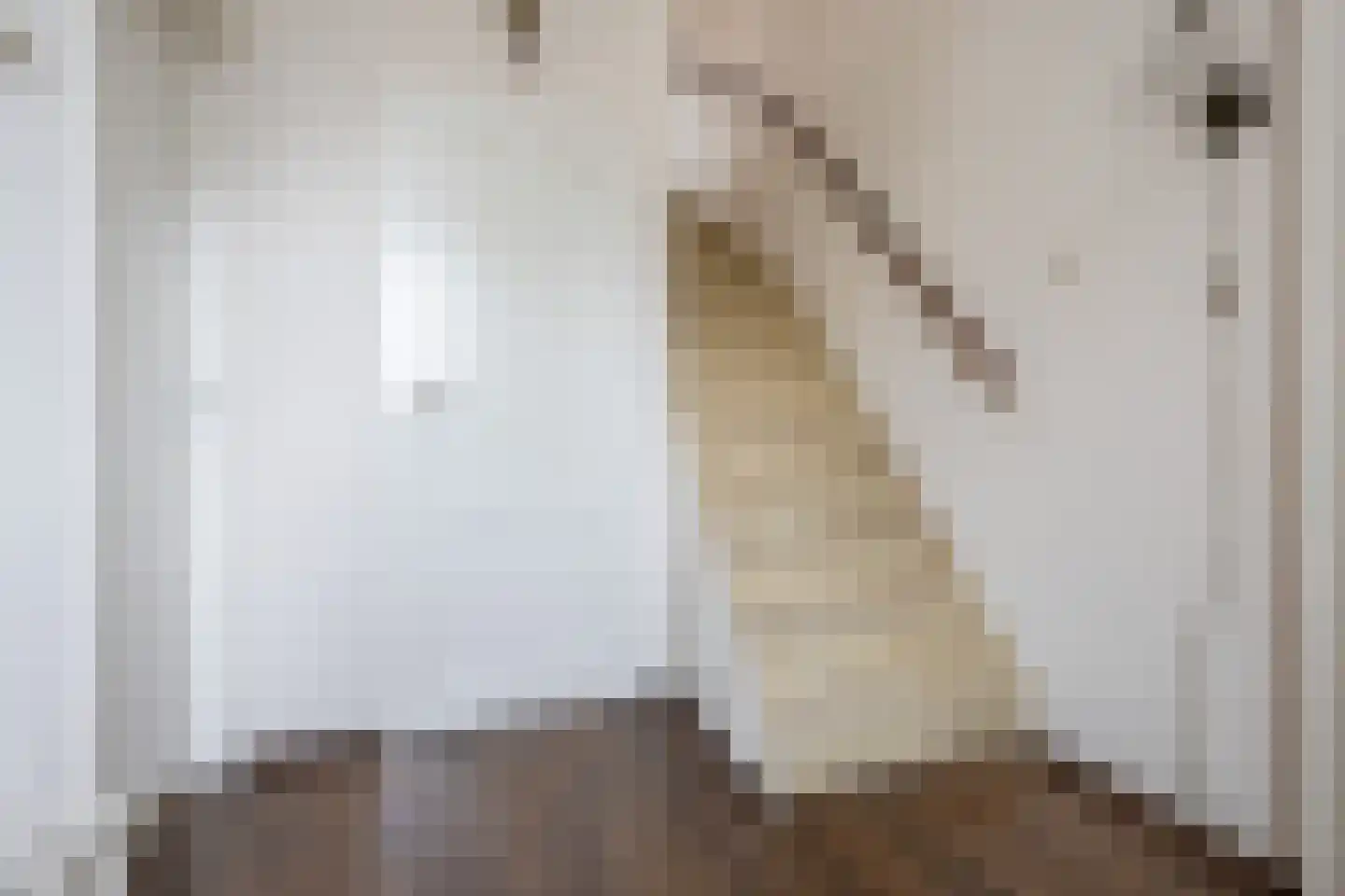 Frank van Borselenstraat 7 Nieuwe-Tonge thumbnail 11