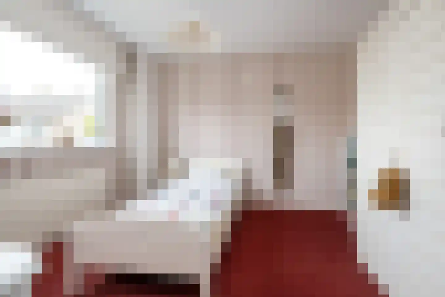 Frank van Borselenstraat 7 Nieuwe-Tonge thumbnail 13