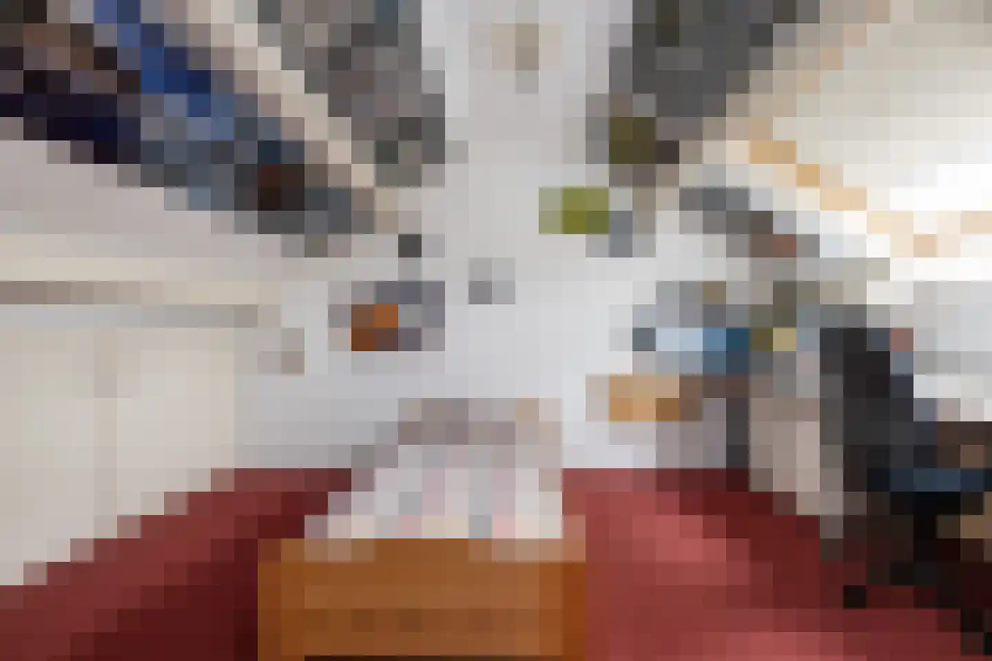 Frank van Borselenstraat 7 Nieuwe-Tonge thumbnail 18