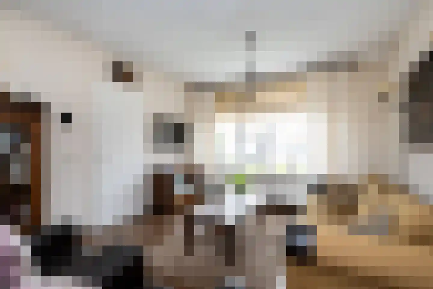 Frank van Borselenstraat 7 Nieuwe-Tonge thumbnail 4