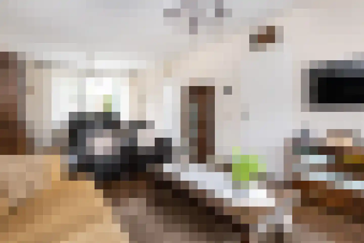 Frank van Borselenstraat 7 Nieuwe-Tonge thumbnail 6
