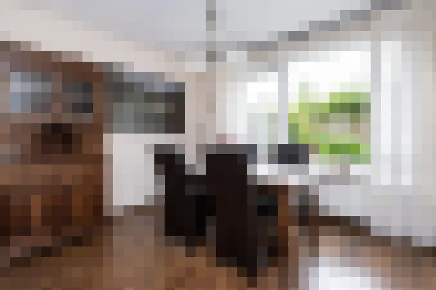 Frank van Borselenstraat 7 Nieuwe-Tonge thumbnail 7