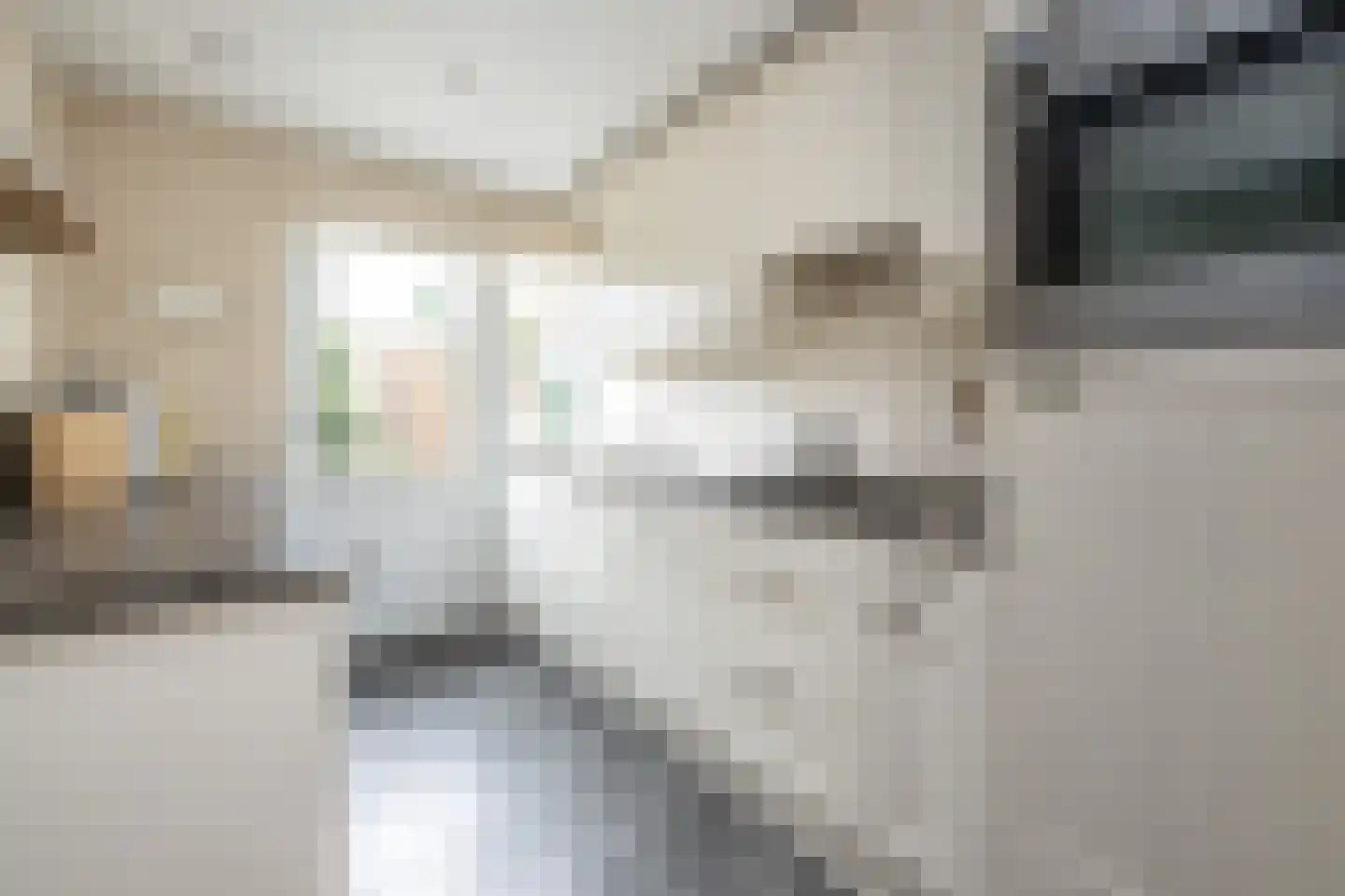 Frank van Borselenstraat 7 Nieuwe-Tonge thumbnail 8