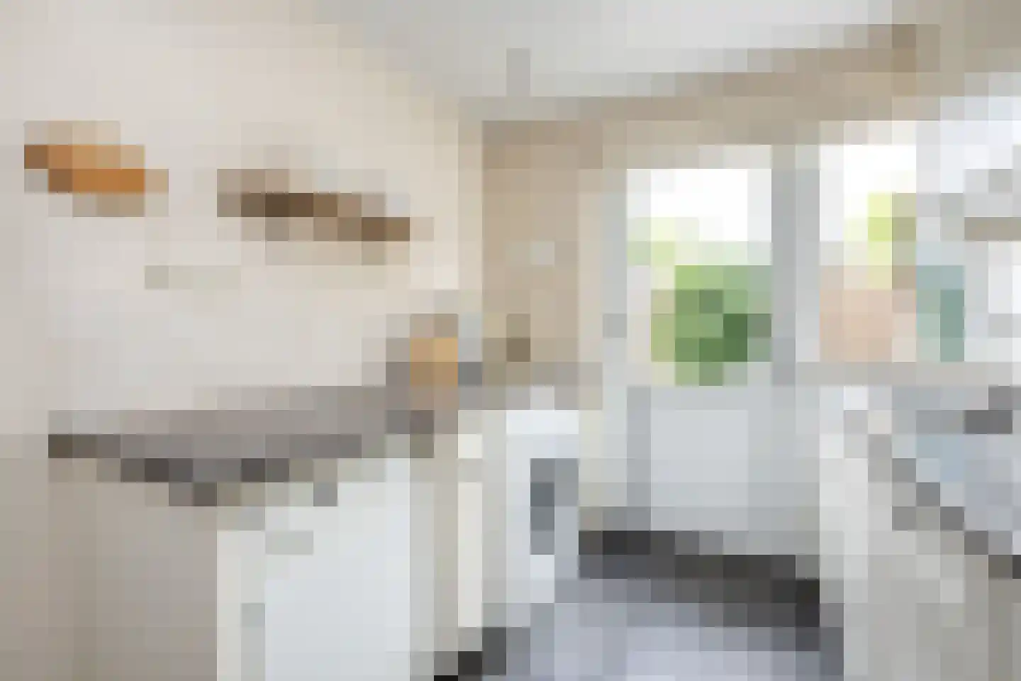 Frank van Borselenstraat 7 Nieuwe-Tonge thumbnail 9