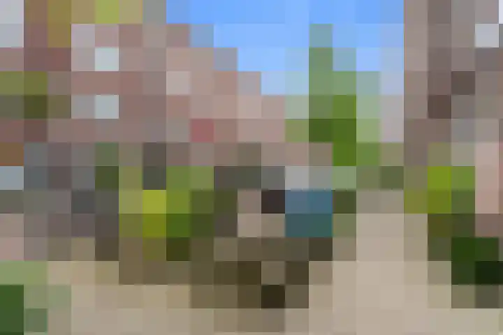 Frank van Borselenstraat 8 A Rotterdam thumbnail 29