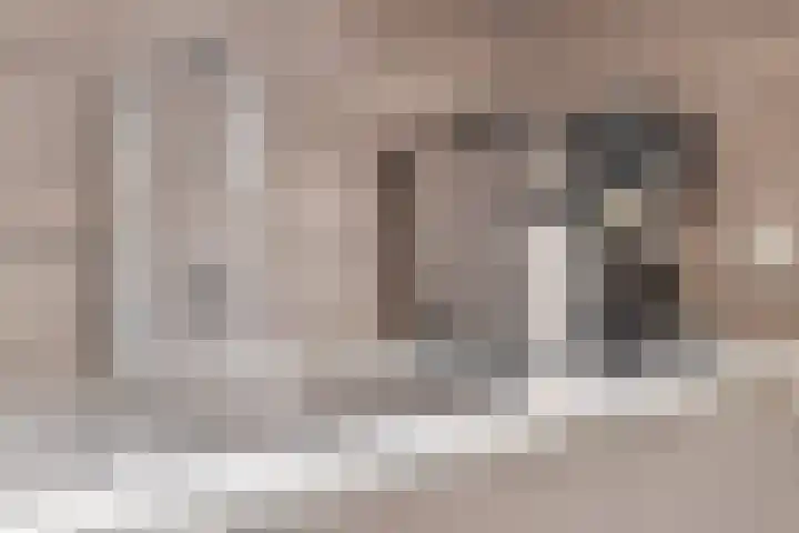 Frank van Borsselenstraat 14 's-Heer Hendrikskinderen thumbnail 11