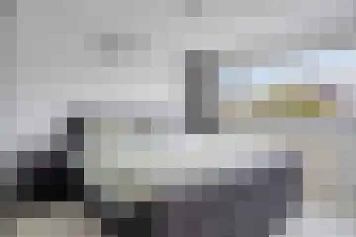 Frank van Borsselenstraat 14 's-Heer Hendrikskinderen thumbnail 14