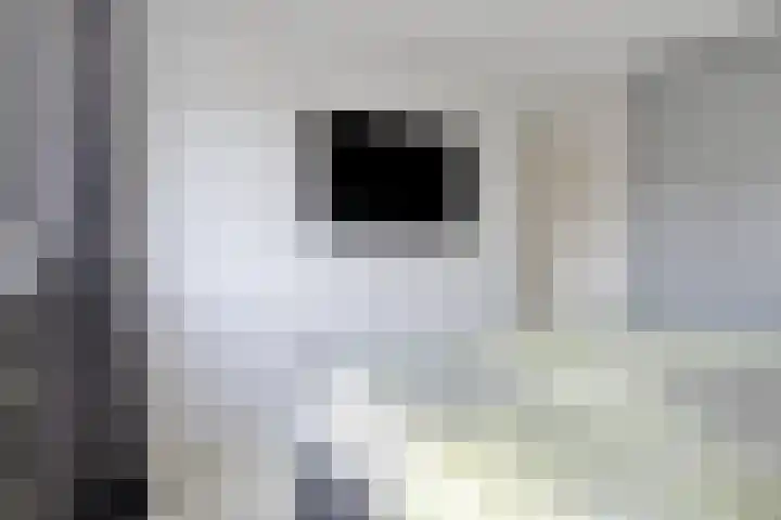 Frank van Borsselenstraat 14 's-Heer Hendrikskinderen thumbnail 15