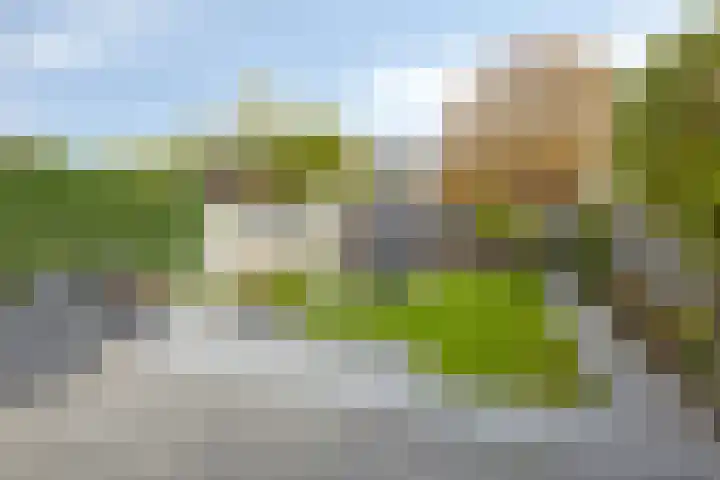 Frank van Borsselenstraat 14 's-Heer Hendrikskinderen thumbnail 25