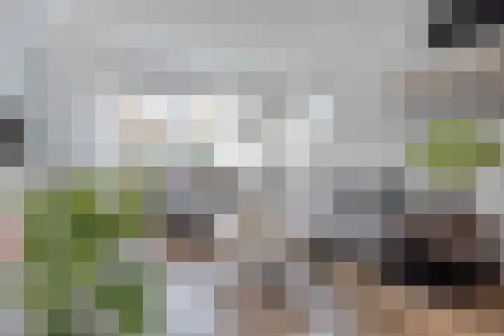 Frank van Borsselenstraat 14 's-Heer Hendrikskinderen thumbnail 4