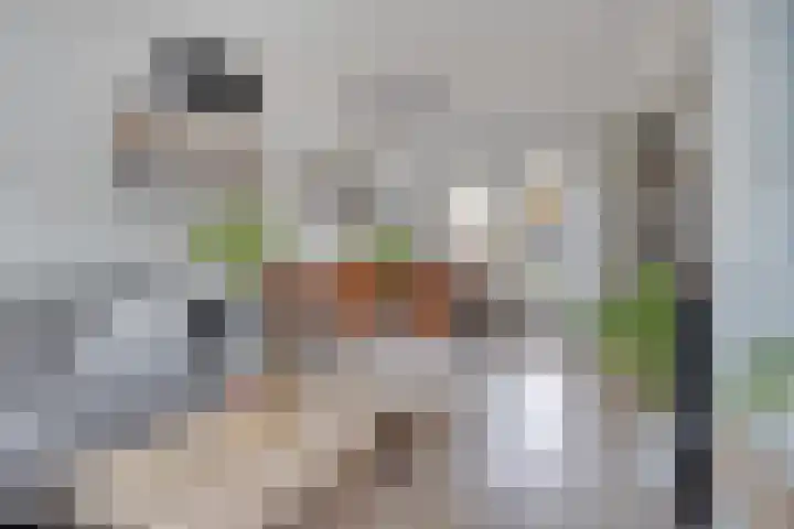 Frank van Borsselenstraat 14 's-Heer Hendrikskinderen thumbnail 5