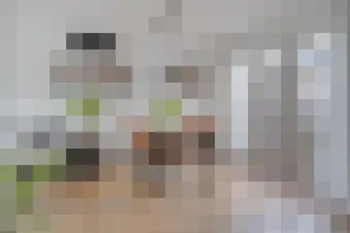 Frank van Borsselenstraat 14 's-Heer Hendrikskinderen thumbnail 6
