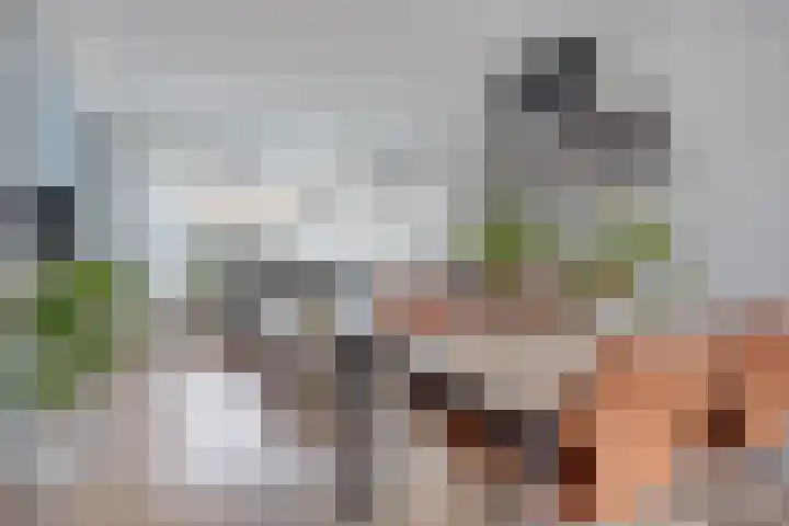 Frank van Borsselenstraat 14 's-Heer Hendrikskinderen thumbnail 7