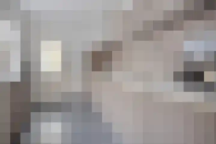 Frank van Borsselenstraat 14 's-Heer Hendrikskinderen thumbnail 9