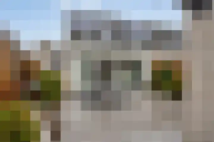 Frank van Borsselenstraat 23 's-Heer Hendrikskinderen thumbnail 4