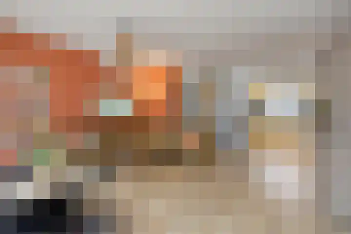 Frank van Borsselenstraat 23 's-Heer Hendrikskinderen thumbnail 9
