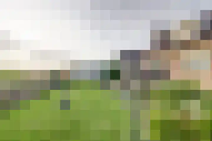 Frank van Borsselenstraat 39 's-Heer Hendrikskinderen foto 3