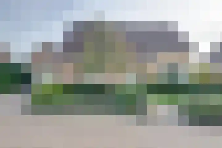 Frank van Borsselenstraat 39 's-Heer Hendrikskinderen thumbnail 5
