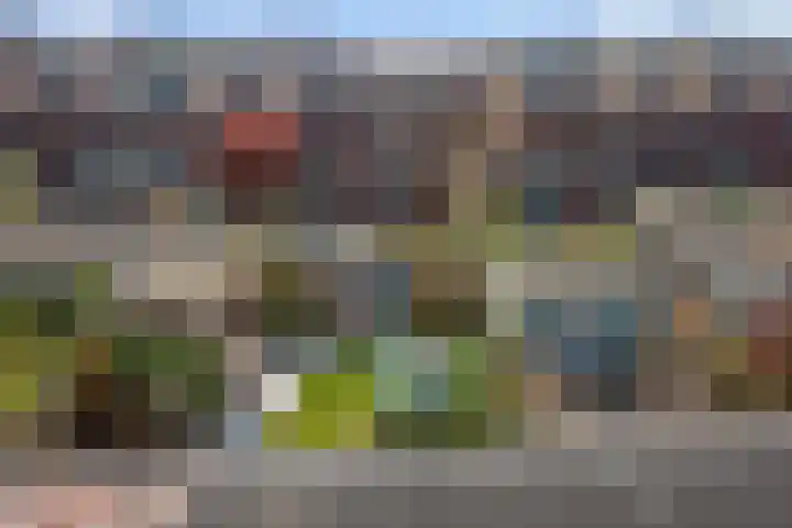 Frank van Hulsentoplaan 41 Den Haag thumbnail 35