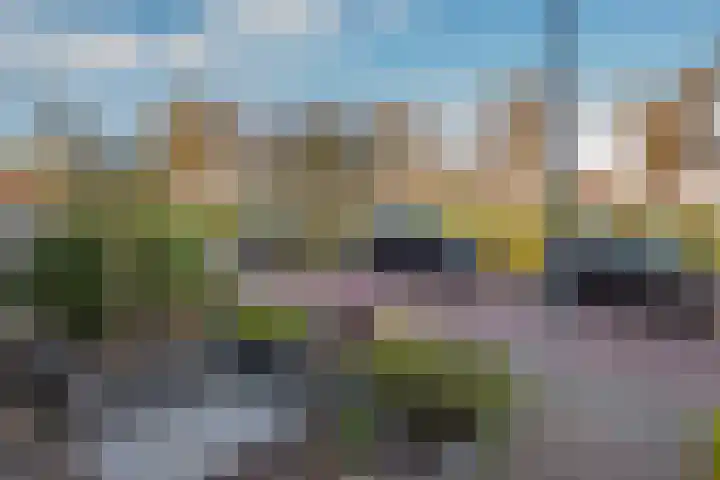 Frank van Hulsentoplaan 41 Den Haag thumbnail 38