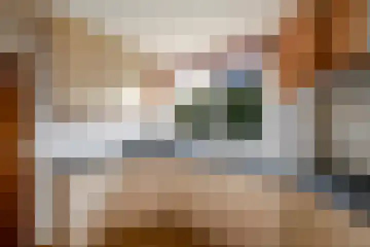 Franke Deddenstraat 3 De Blesse thumbnail 10