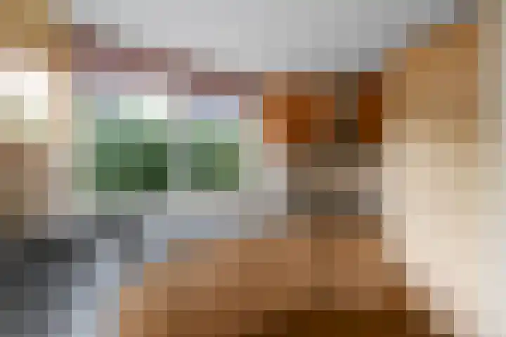 Franke Deddenstraat 3 De Blesse thumbnail 11