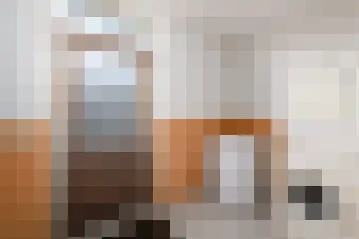 Franke Deddenstraat 3 De Blesse thumbnail 12