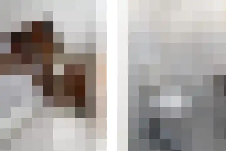 Franke Deddenstraat 3 De Blesse thumbnail 16