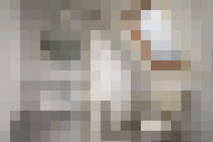 Franke Deddenstraat 3 De Blesse thumbnail 24