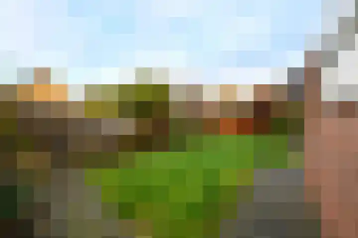 Franke Deddenstraat 3 De Blesse thumbnail 27