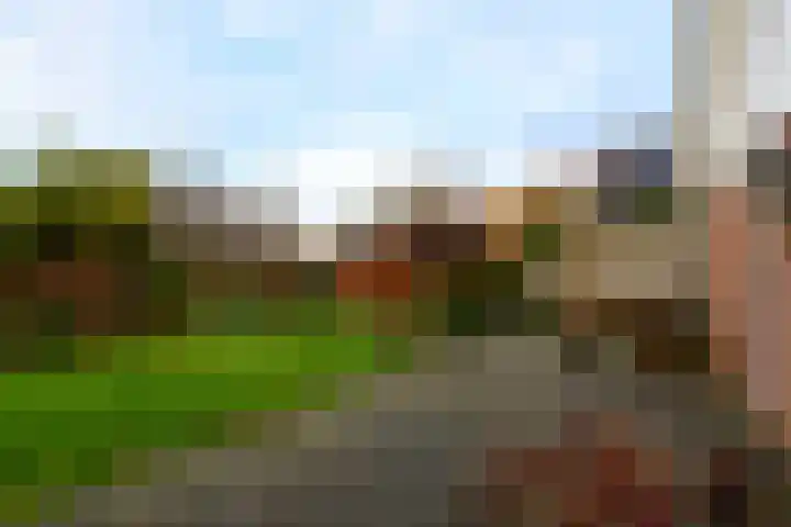 Franke Deddenstraat 3 De Blesse thumbnail 28