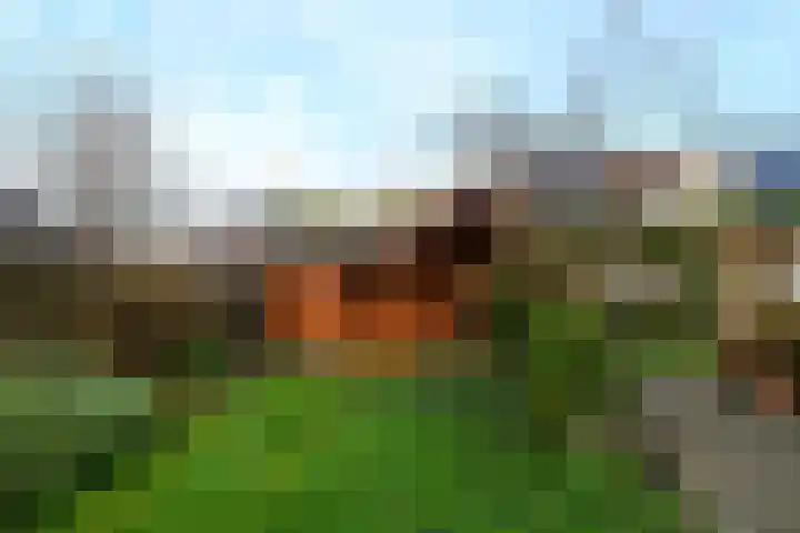 Franke Deddenstraat 3 De Blesse thumbnail 29