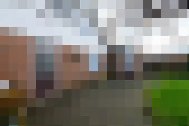 Franke Deddenstraat 3 De Blesse thumbnail 30