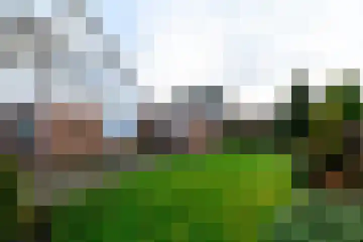 Franke Deddenstraat 3 De Blesse thumbnail 31