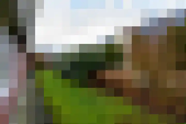Franke Deddenstraat 3 De Blesse thumbnail 33