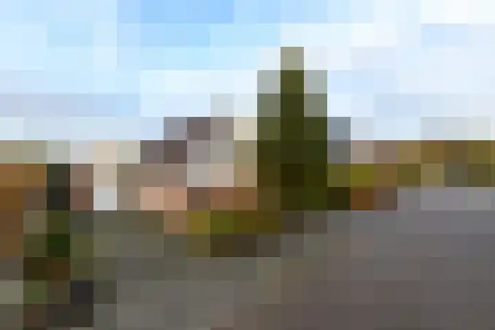 Franke Deddenstraat 3 De Blesse thumbnail 35