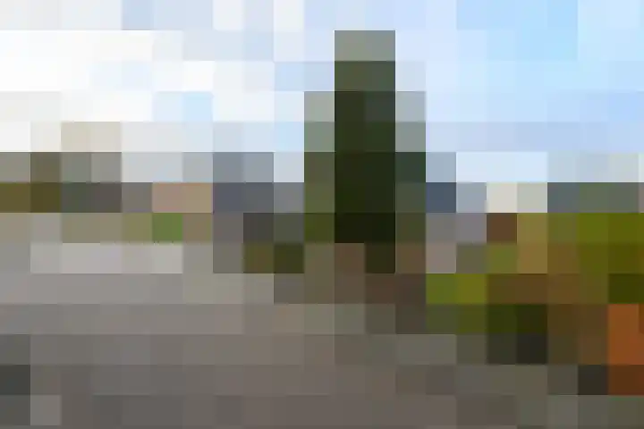 Franke Deddenstraat 3 De Blesse thumbnail 36