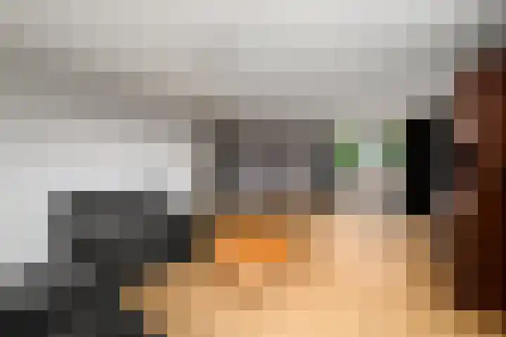 Franke Deddenstraat 3 De Blesse thumbnail 7