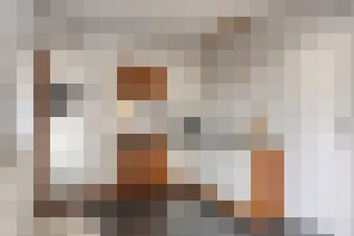 Franke Deddenstraat 6 De Blesse thumbnail 10
