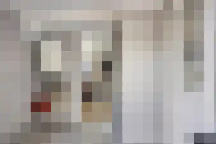 Franke Deddenstraat 6 De Blesse thumbnail 12