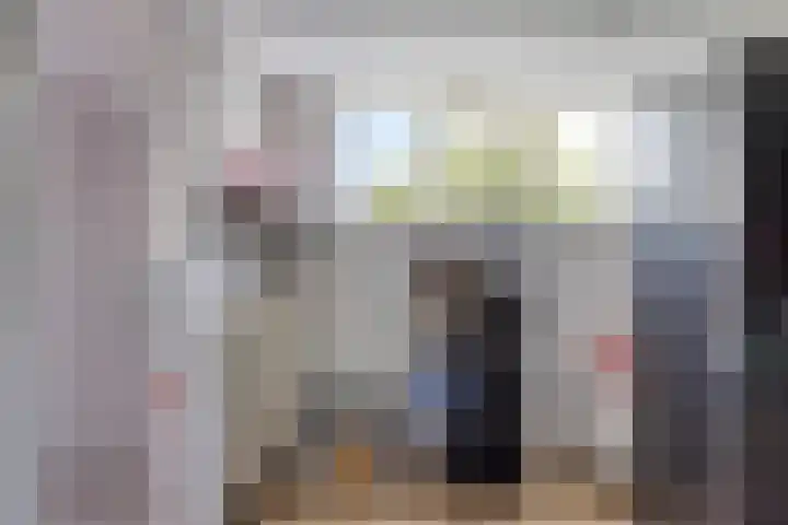 Franke Deddenstraat 6 De Blesse thumbnail 14