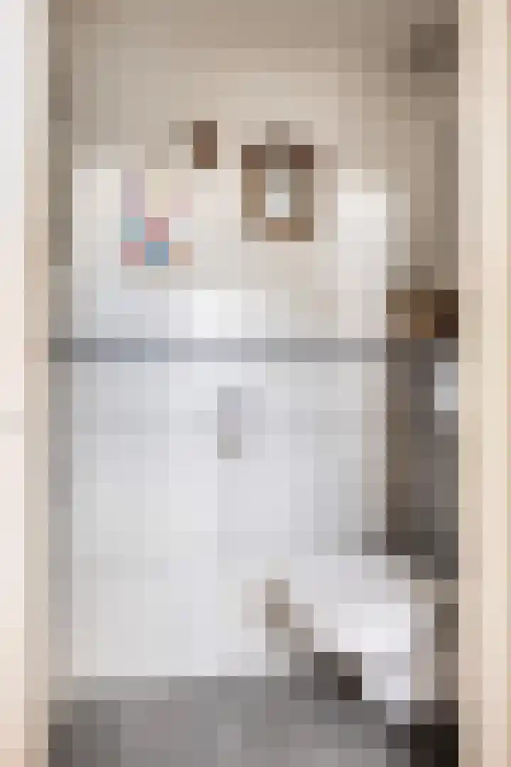 Franke Deddenstraat 6 De Blesse thumbnail 15