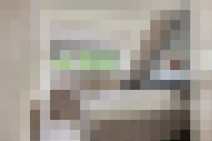 Franke Deddenstraat 6 De Blesse thumbnail 18